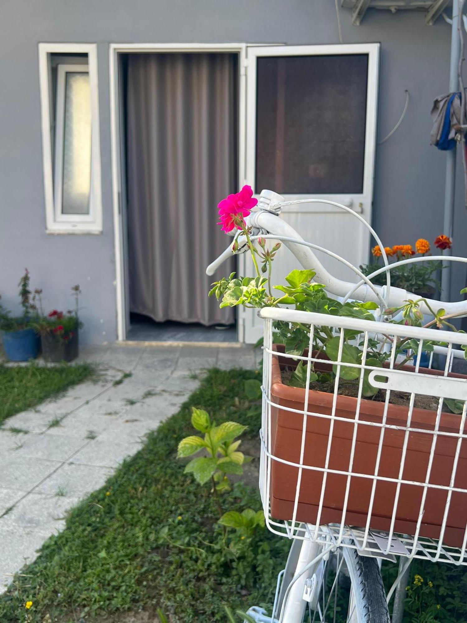 Happy Corner Guest House Шкодер Экстерьер фото